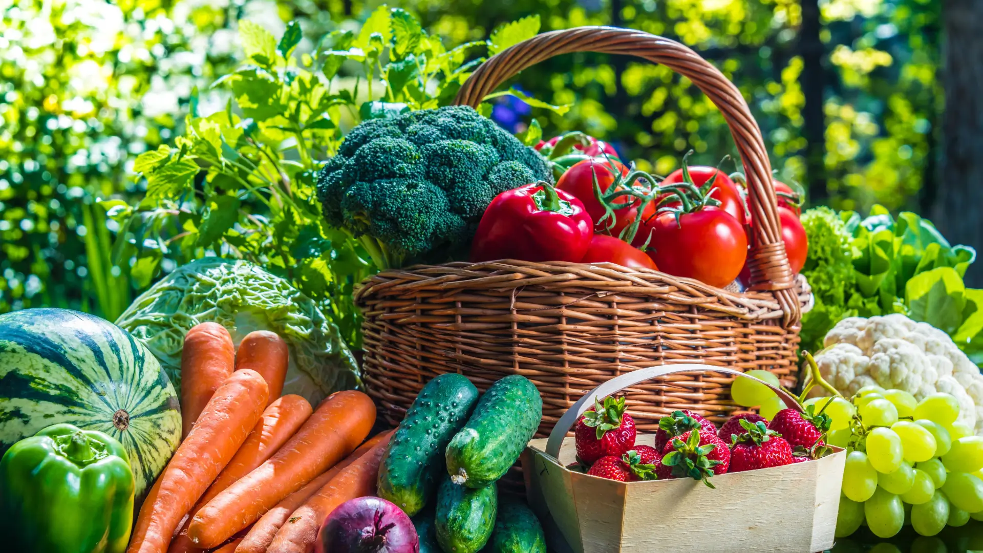 alimentos orgânicos