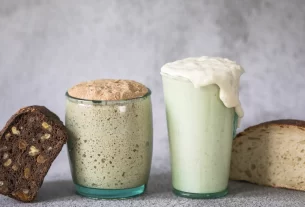 Alimentos Fermentados