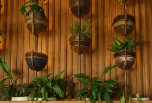 biofilia para iniciantes