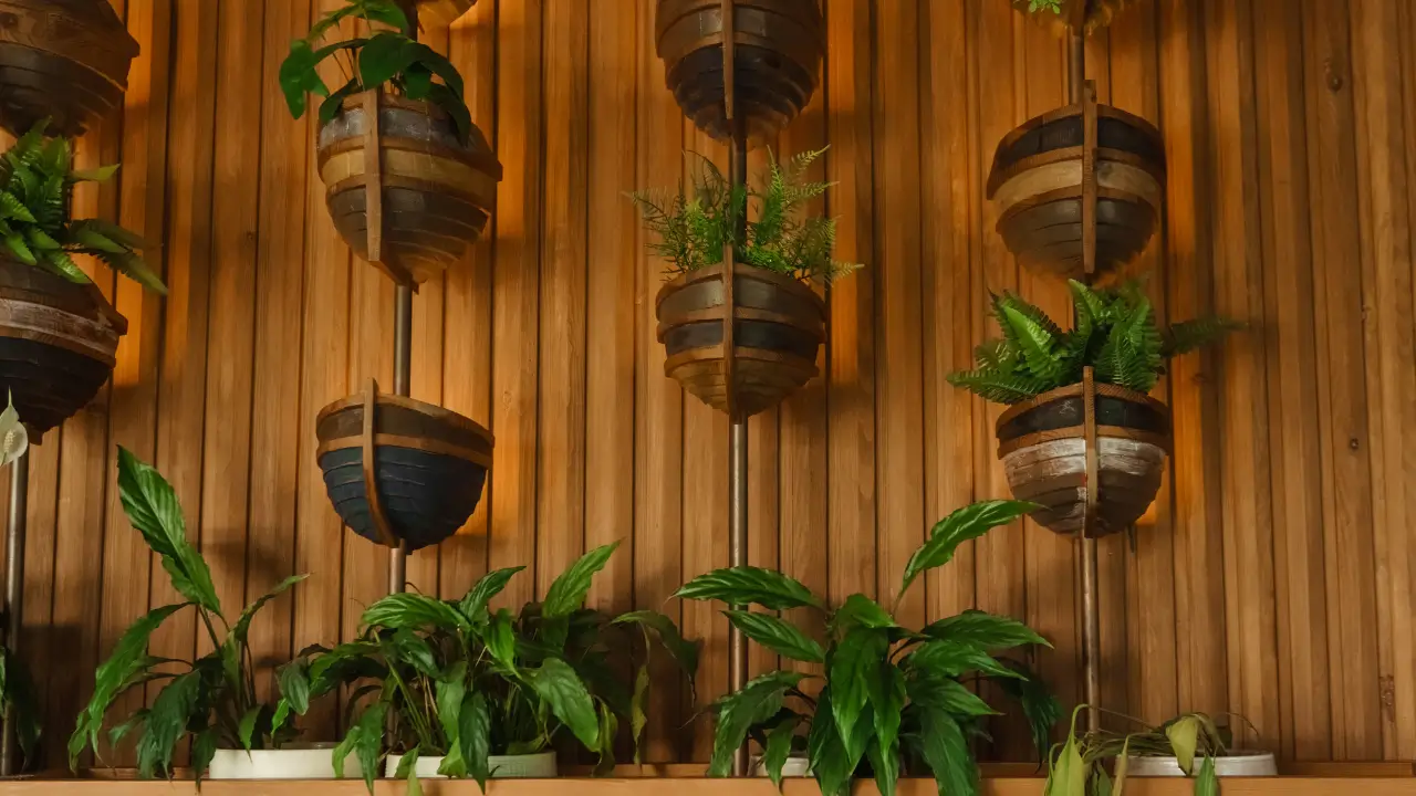 biofilia para iniciantes